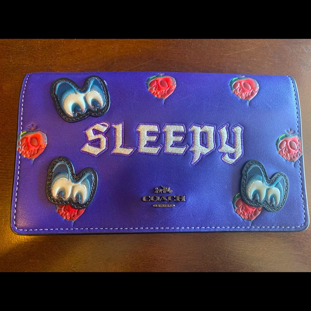 Coach x Disney